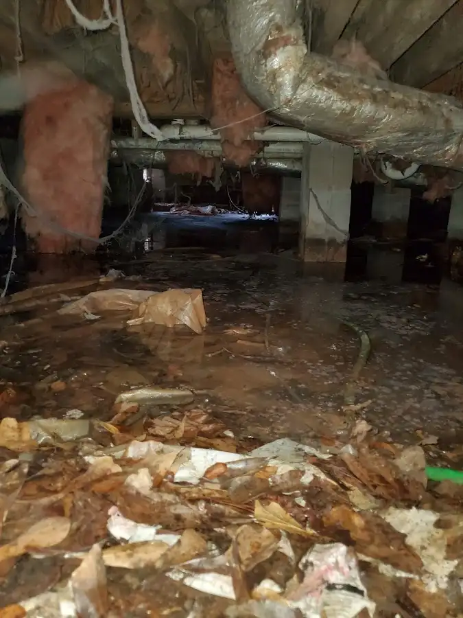 Crawl space flood assessment for Leak Detection & Repair in Paola